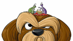 Gif animé puce chien